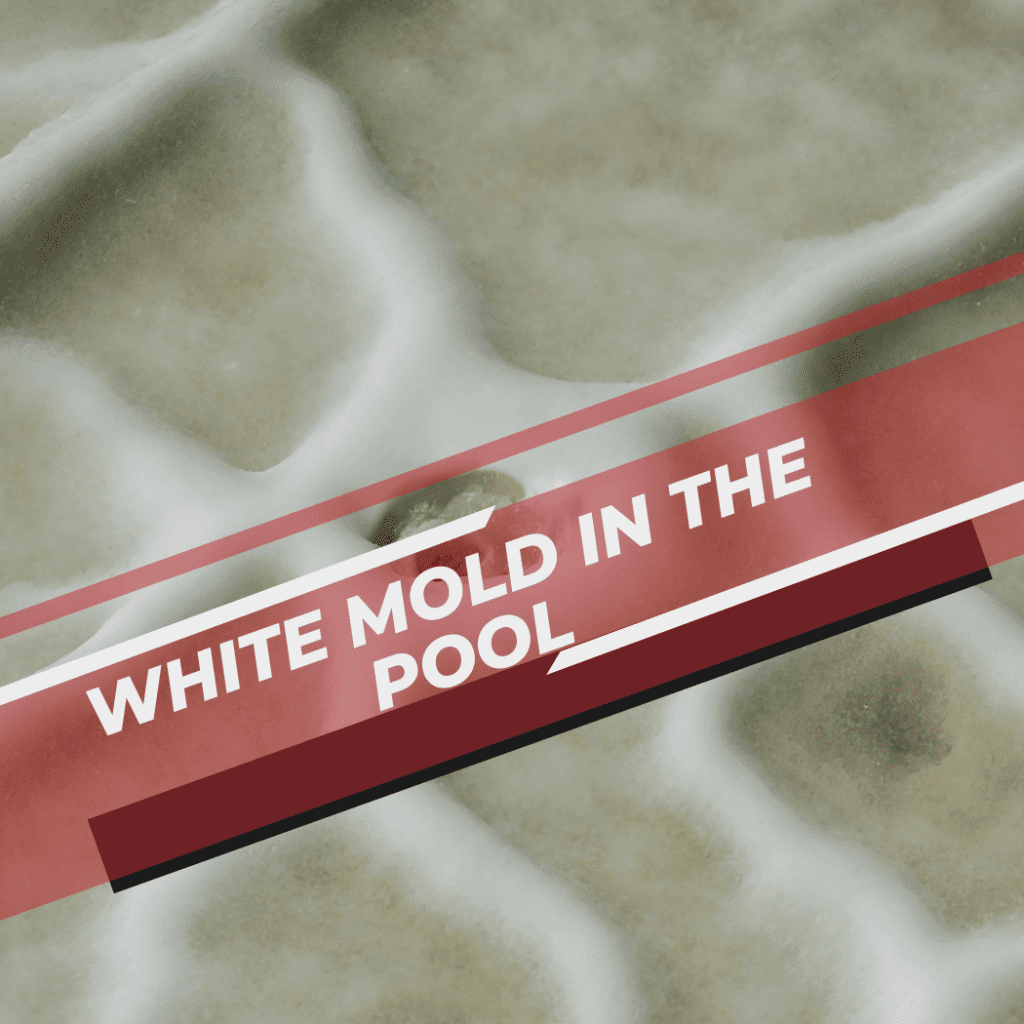 White Mold in the Pool