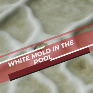 White Mold in the Pool